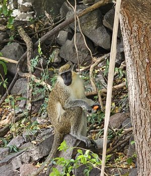 WhatsApp Image 2026-03-26 at 19.20.10 (1)