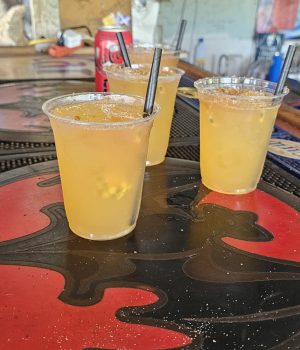 WhatsApp Image 2026-03-26 at 19.20.15 (1)